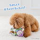 PET PARADISE | 巴斯光年玩具