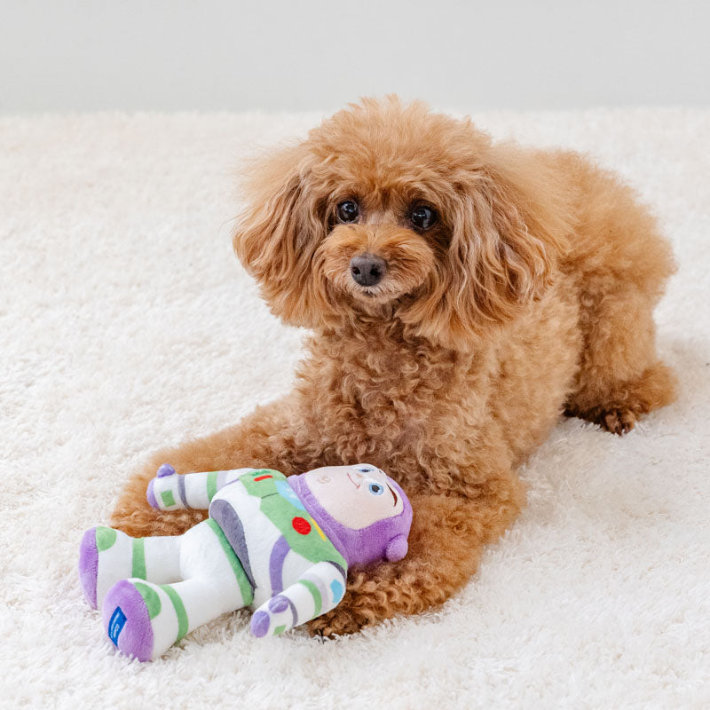 PET PARADISE | 巴斯光年玩具