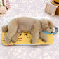 Snoopy Multi Cooling Cushion (Beach) | Snoopy多用途涼感冰墊 (沙灘款) | 寵物車墊 | 可家中使用 | 附送冰包