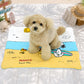 Snoopy Cooling Mat (Beach) | Snoopy涼感冰墊 (沙灘款) | 附送冰包