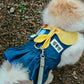 Scout One Piece Harness | Custom Name!
