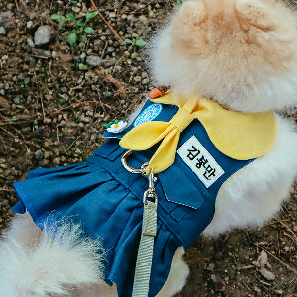 Scout One Piece Harness | Custom Name!
