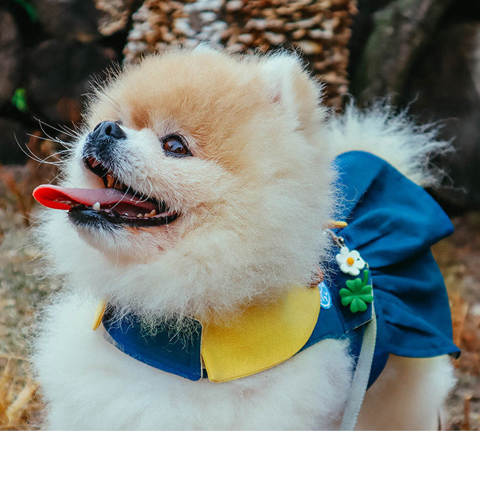 Scout One Piece Harness | Custom Name!