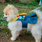 Scout One Piece Harness | Custom Name!