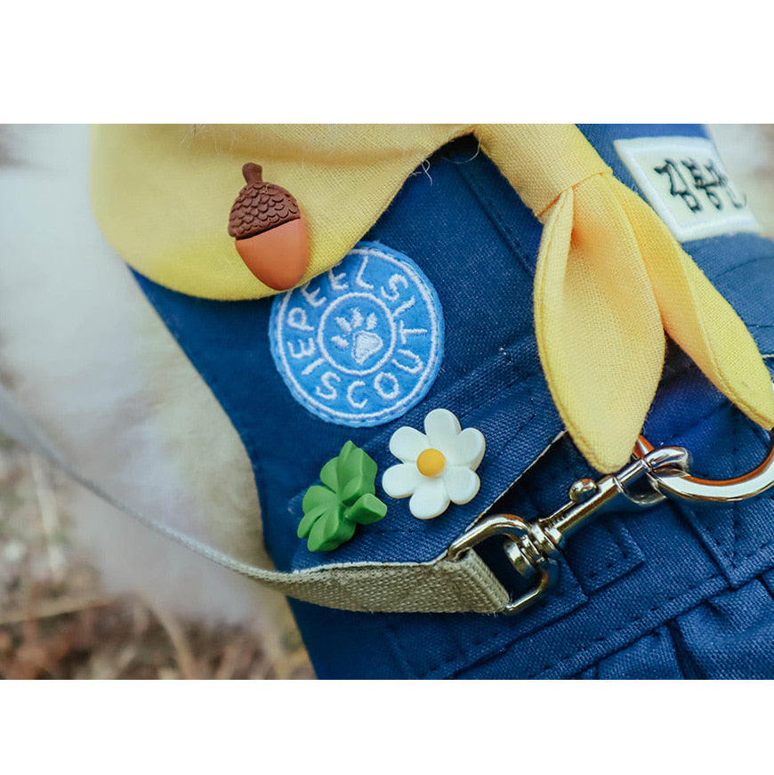 Scout One Piece Harness | Custom Name!