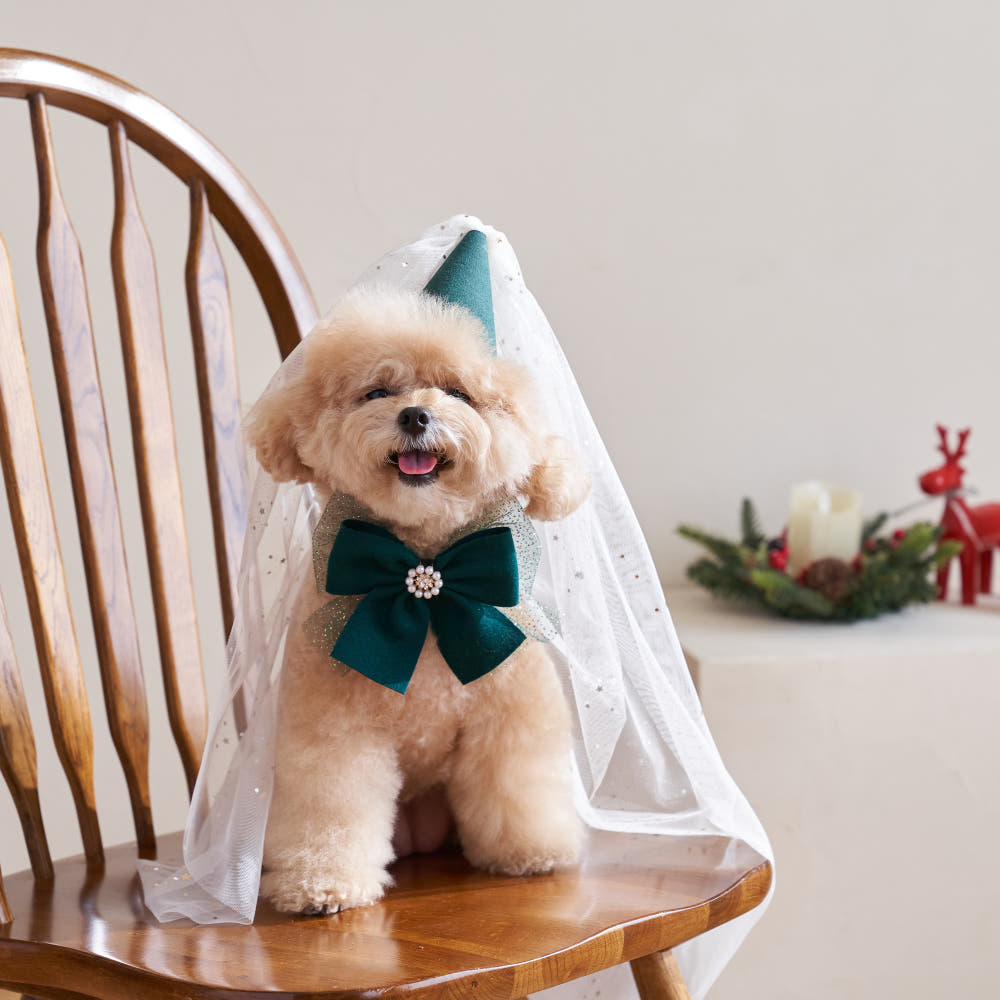 聖誕蝴蝶結＆帽仔SET | 可單買