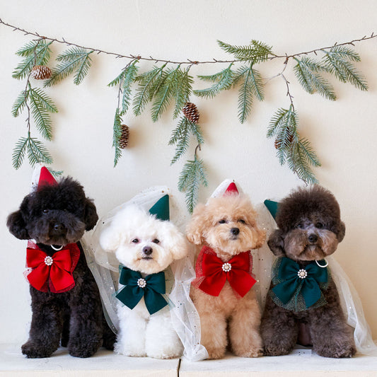 聖誕蝴蝶結＆帽仔SET | 可單買