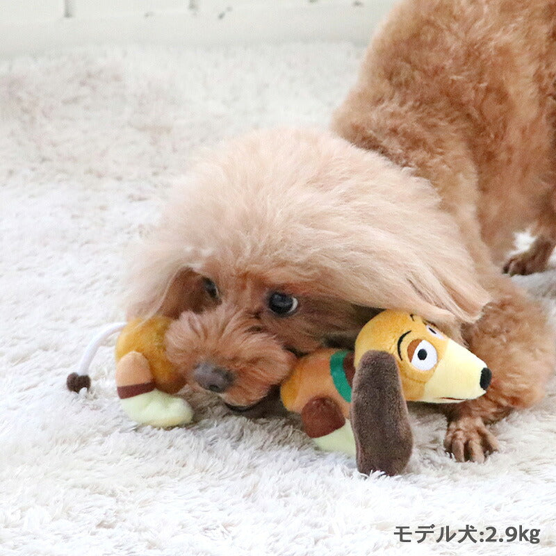 PET PARADISE | Slinky Dog Rope Toy