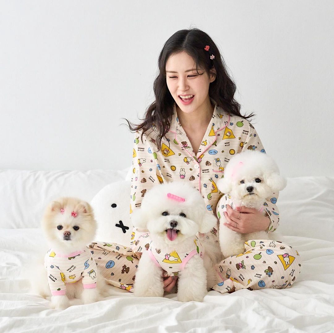 Camping Miffy All In One