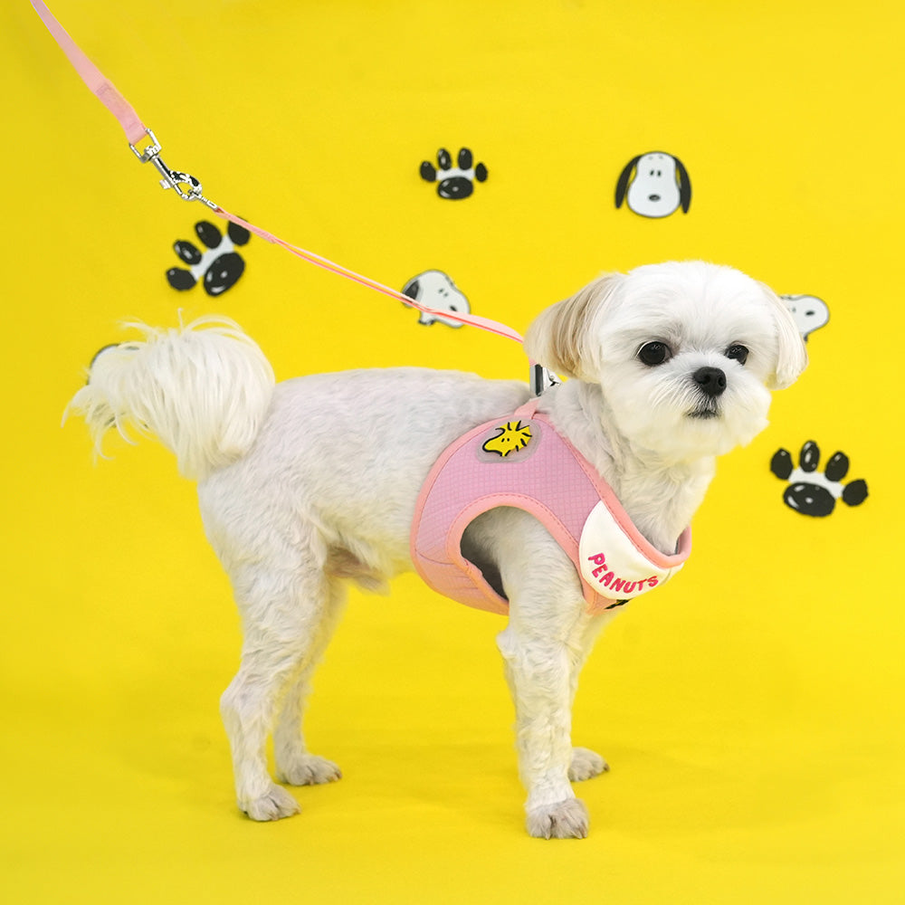 Snoopy 小圓領胸帶 (附送拖帶)