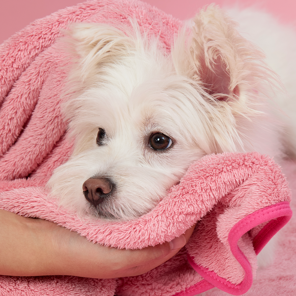 PETHROOM | Pink Sponge Towel (2 sizes)