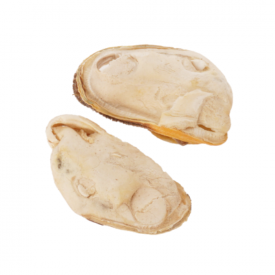 Freeze-Dried Green Lipped Mussel 60g