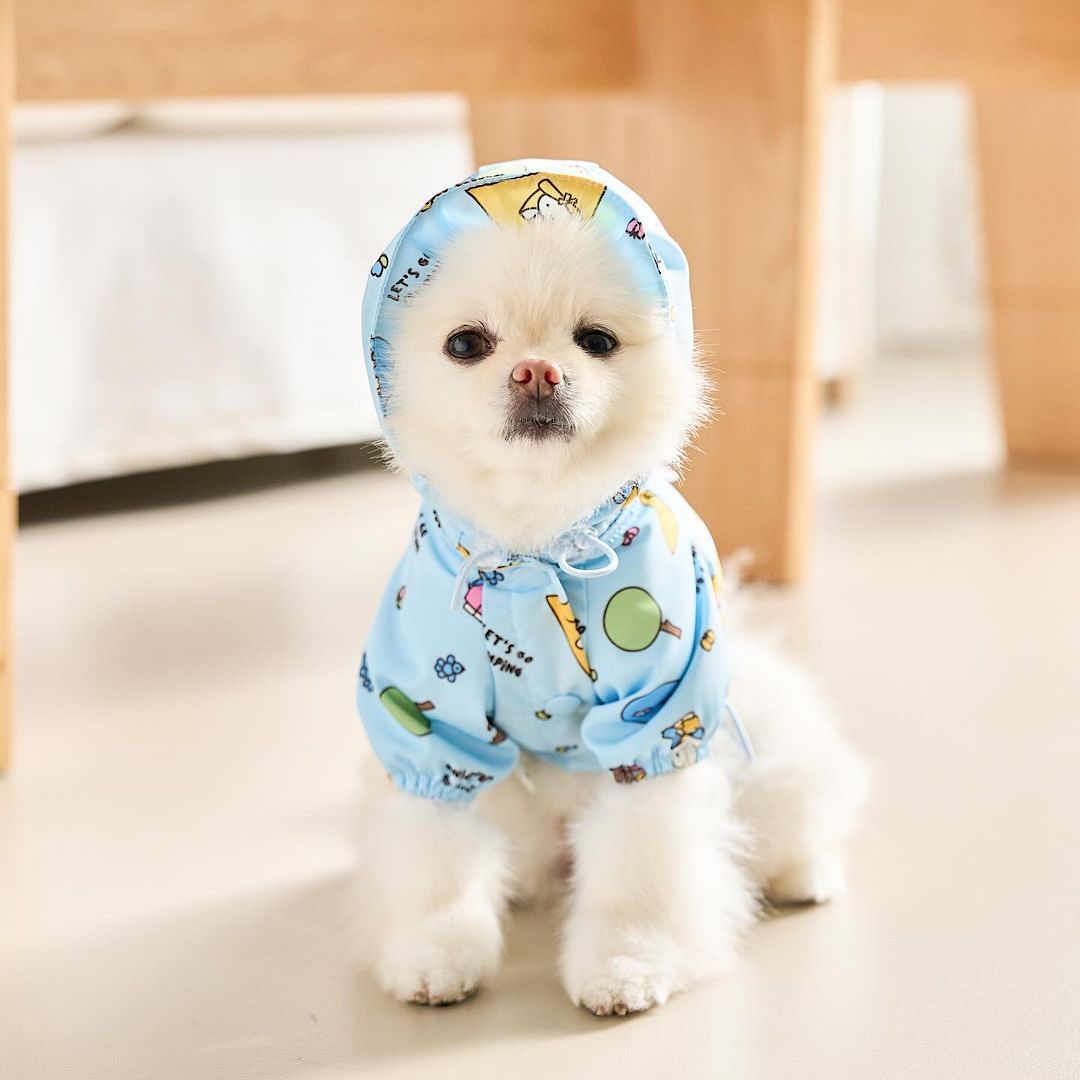 Camping Miffy Windbreaker (Sky Blue)