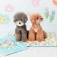 [Bite Me x Pokori Friends] Cooling Gel Mat