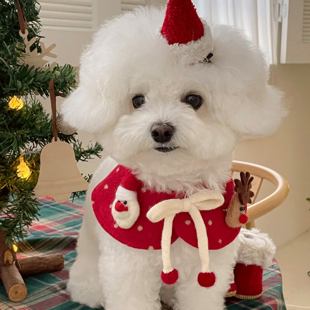 Dots Xmas Cape | Reversible (Red)