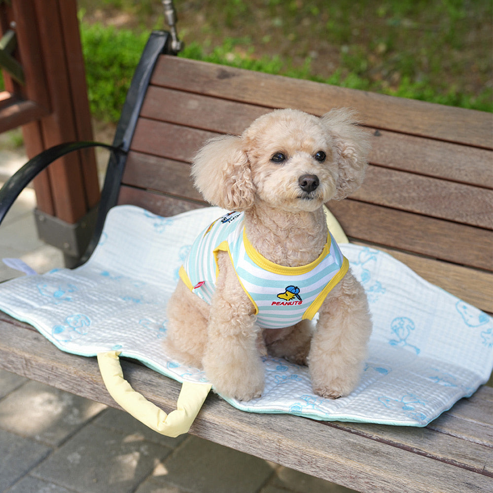 Snoopy Picnic Cooling Mat