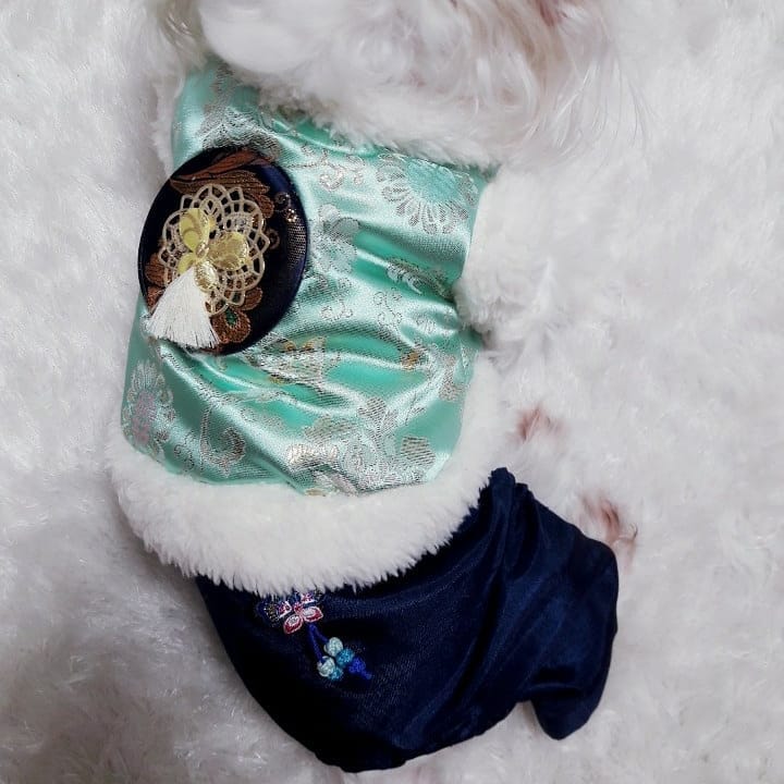 Hanbok Vest Jacket (Fur Lining)