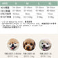 Scout One Piece Harness | Custom Name!