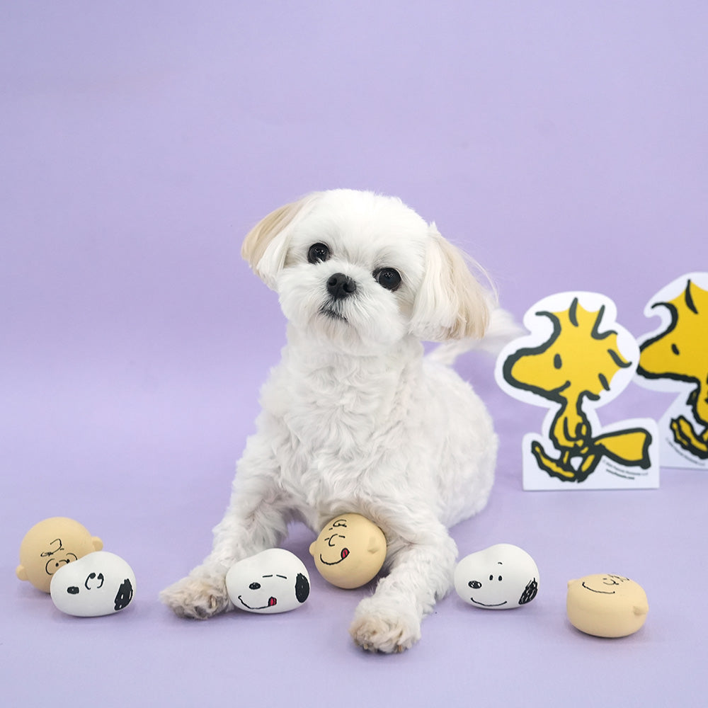 Snoopy Emoji 乳膠玩具