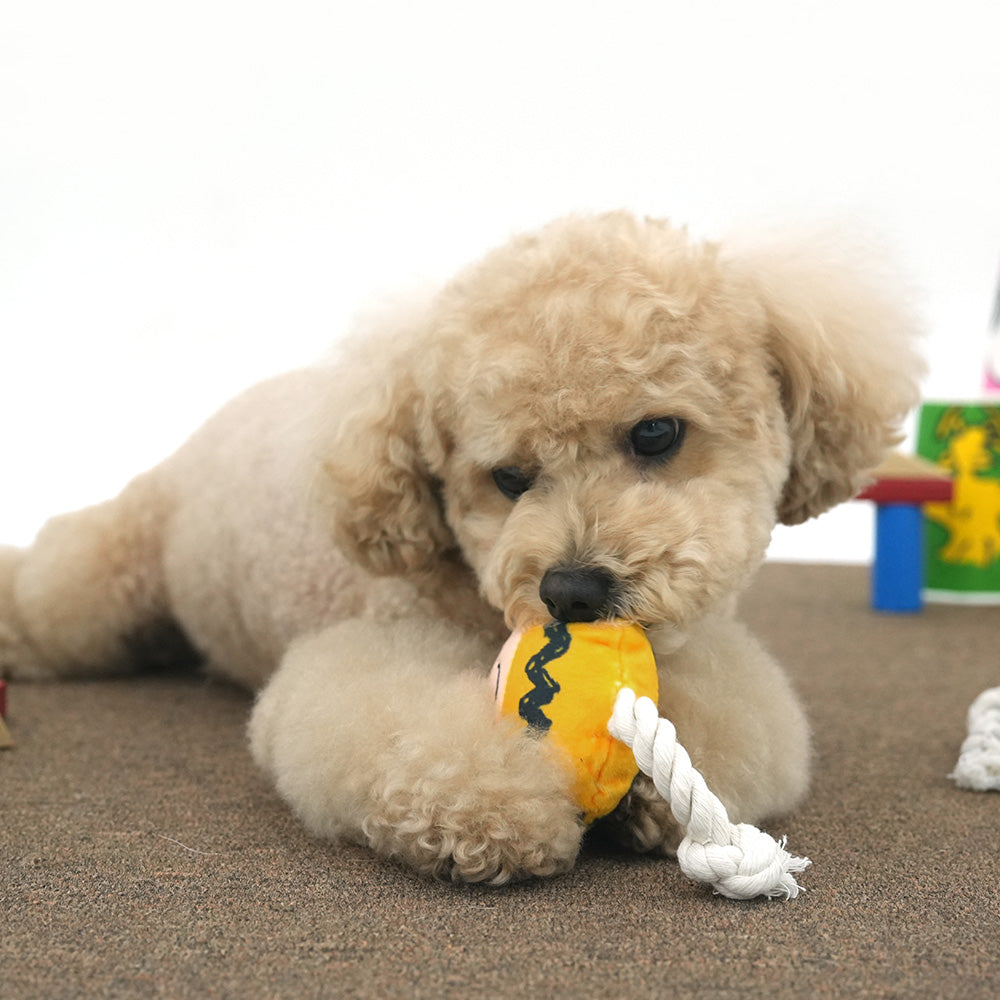 Snoopy Egg Rope Toy 蛋型玩具