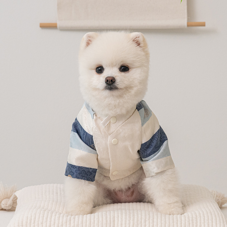 韓式新年服｜男仔款