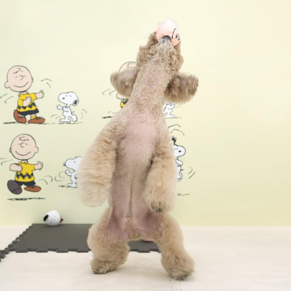 Snoopy布包咇咇波玩具