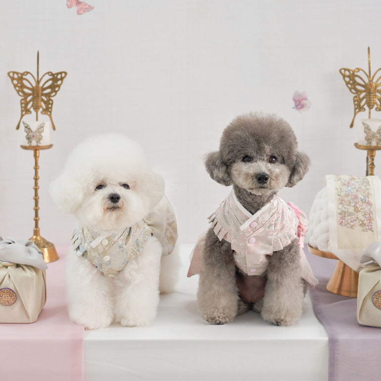 韓式新年服｜女仔款