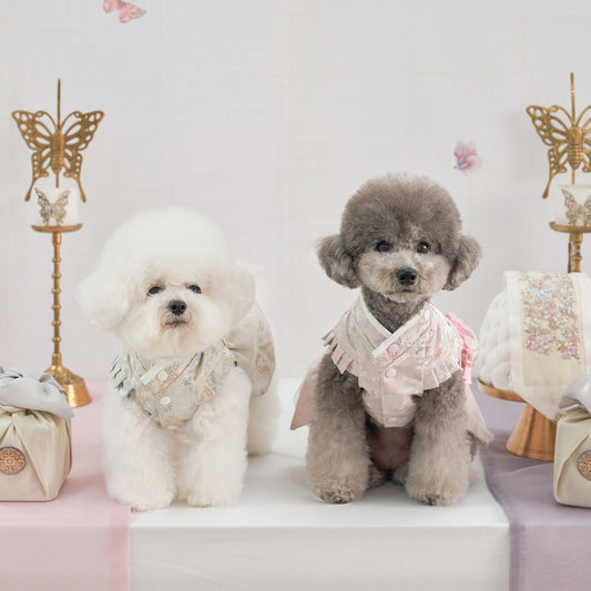 韓式新年服｜女仔款