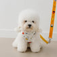 Starry Miffy Harness