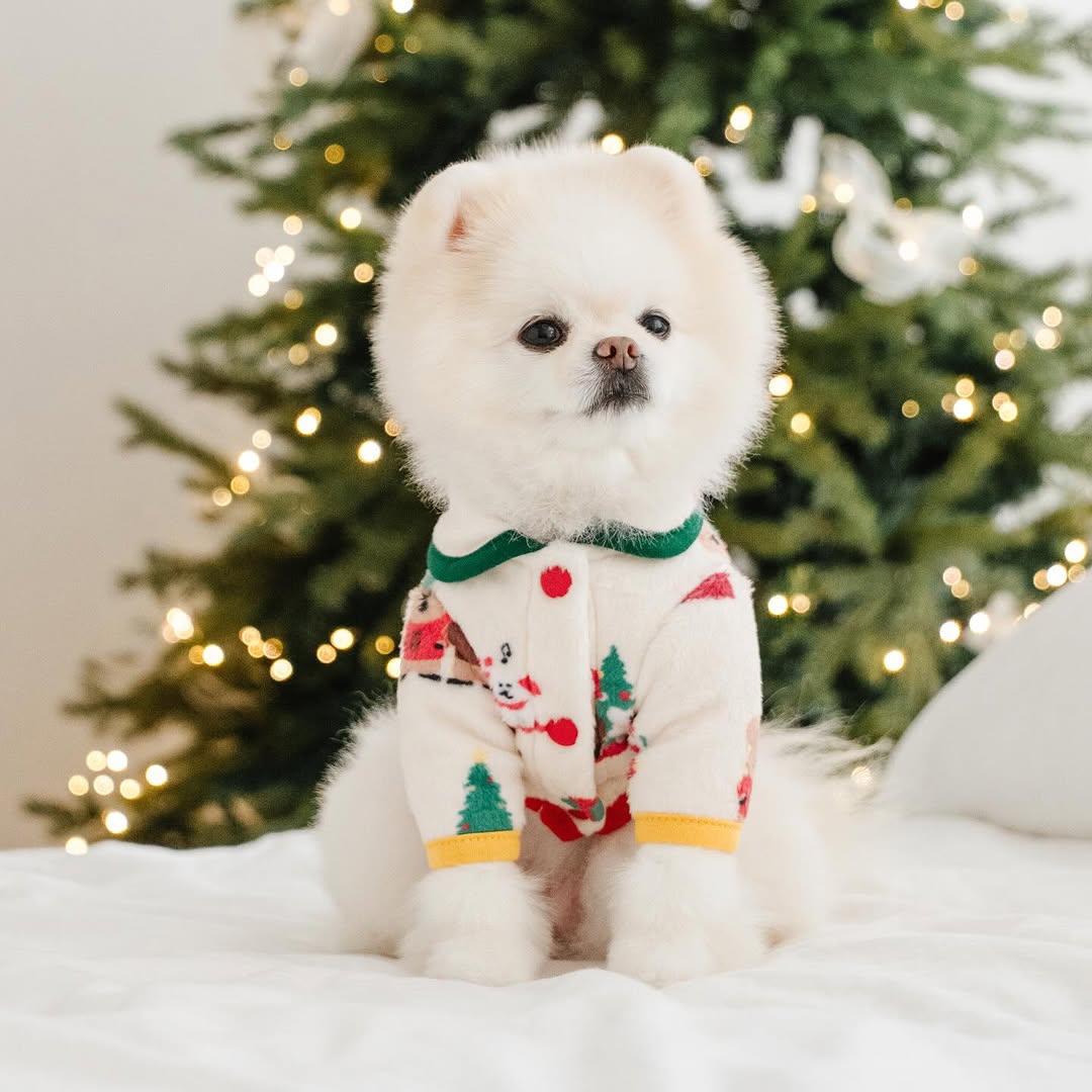 Christmas Dinotaeng Fleece Jacket