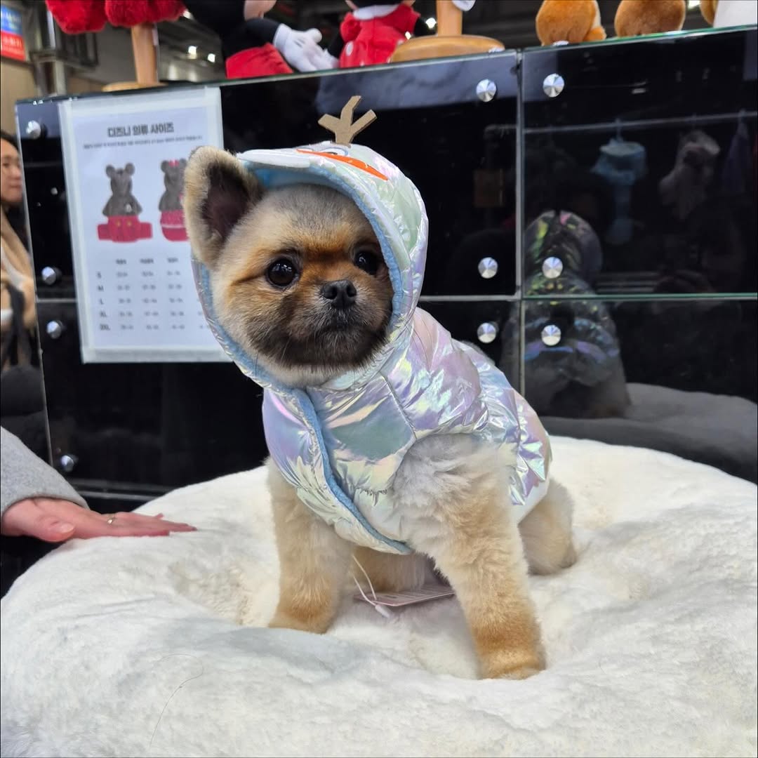 Olaf Vest Jacket 小白背心外套