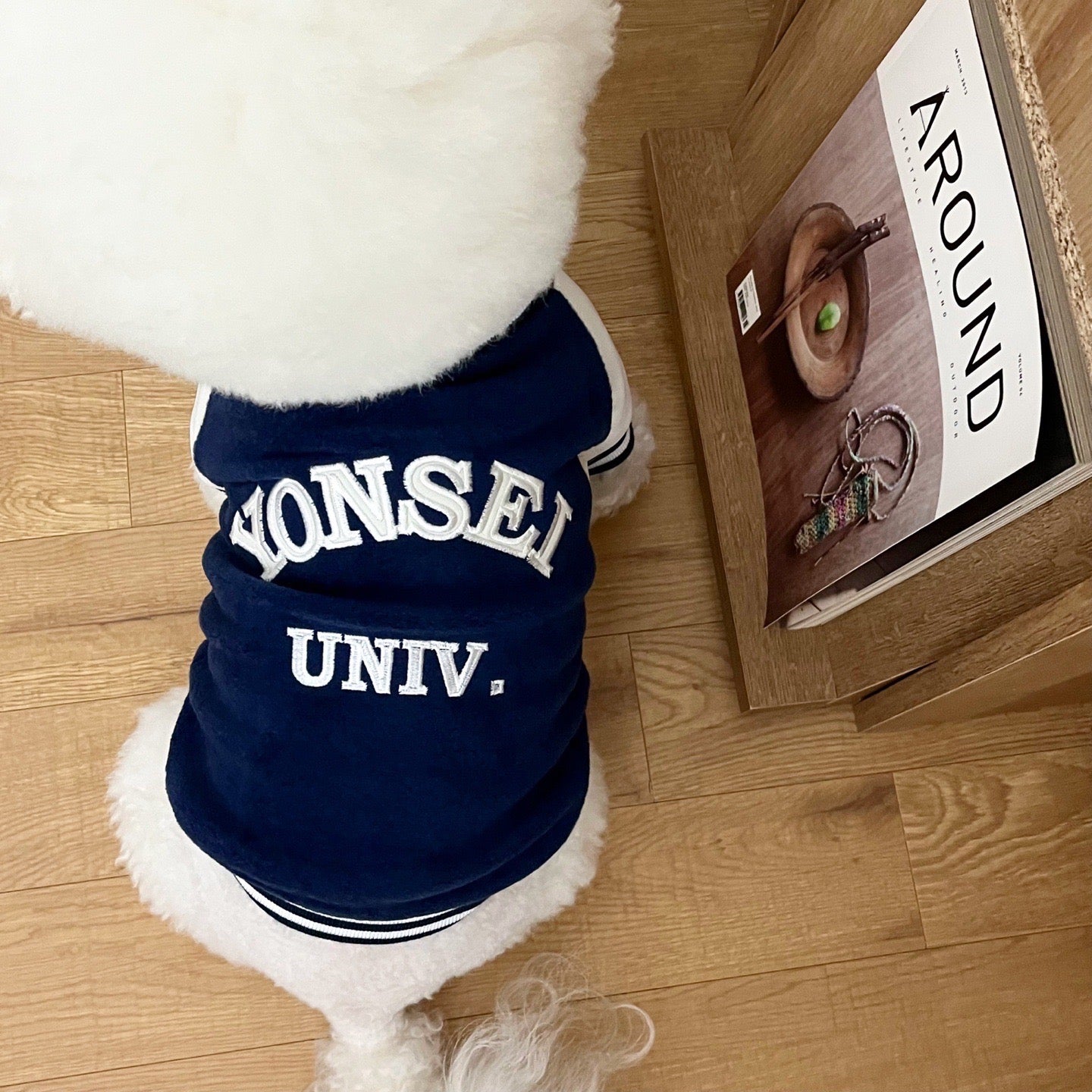 韓國大學棒球褸