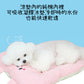 Bumper Cooling Mat (5 styles)