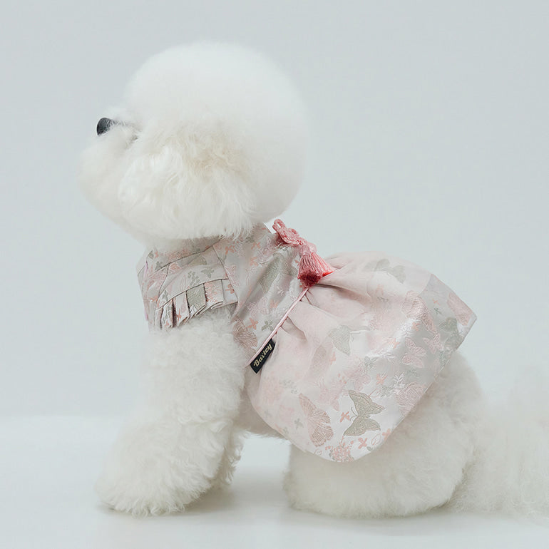 韓式新年服｜女仔款