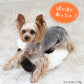 Snoopy Warm Pad | Microwaveable