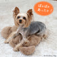 Bear Warm Pad | Microwaveable