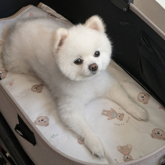 Teddy Bear Cooling Mat 韓系熊仔凝膠冰墊 | 雙面設計