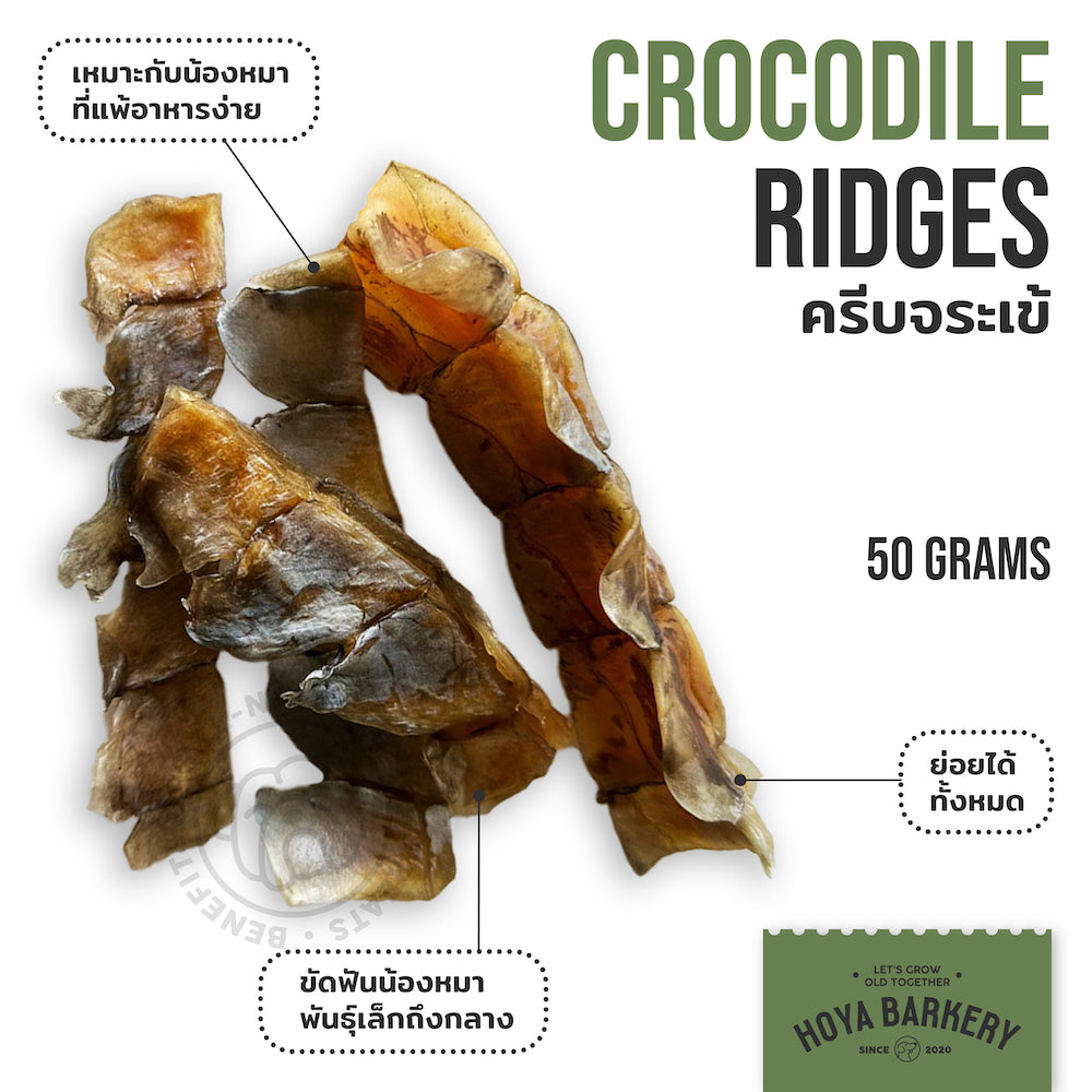 Crocodile Ridges 50g
