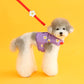 Ice Popping Leash