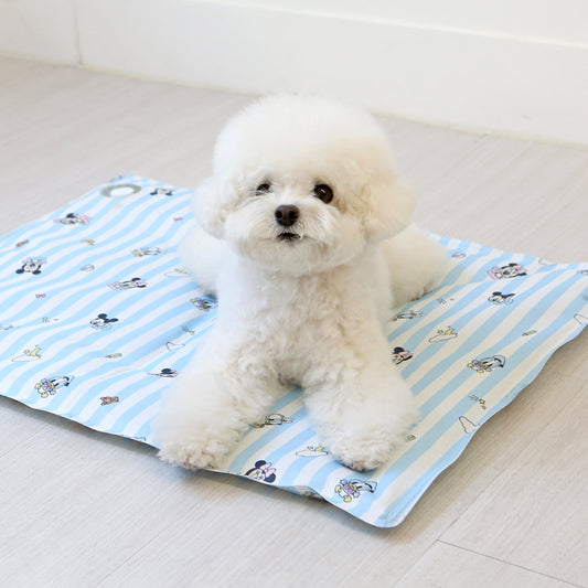 Disney Baby Friends Cooling Gel Mat (2 colors)