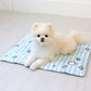 Disney Baby Friends Cooling Gel Mat (2 colors)