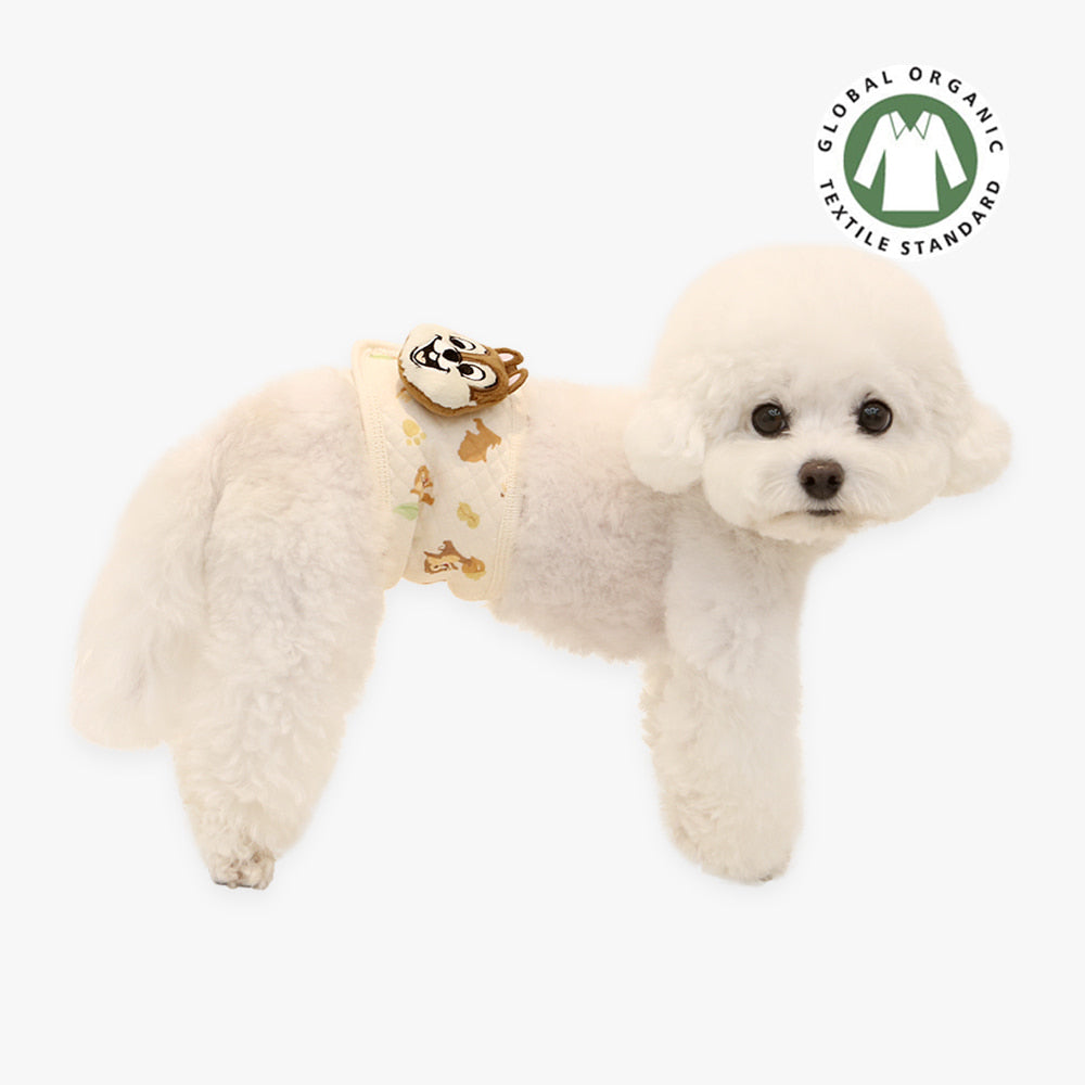 [Chip n Dale] Organic Cotton Manner Belt