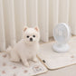 Teddy Bear Cooling Mat 韓系熊仔凝膠冰墊 | 雙面設計