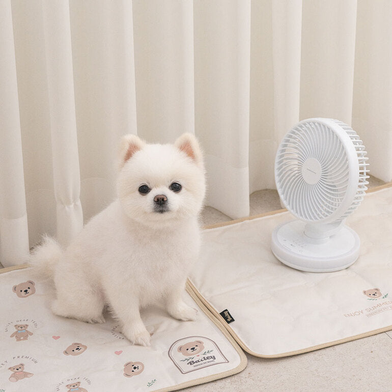 Teddy Bear Cooling Mat 韓系熊仔凝膠冰墊 | 雙面設計
