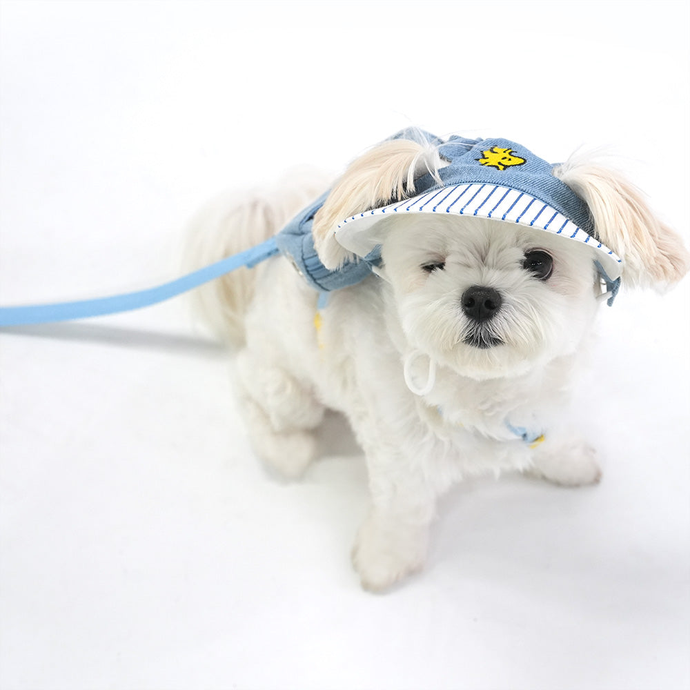 Snoopy Denim 2-Way Backpack Harness Set | Snoopy 牛仔背囊胸帶 | 1套4件 | 背囊可拆，包括拖帶＆帽仔