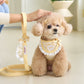 Hug Leash (1.6m / 2m) | For pairing with Hug Harness