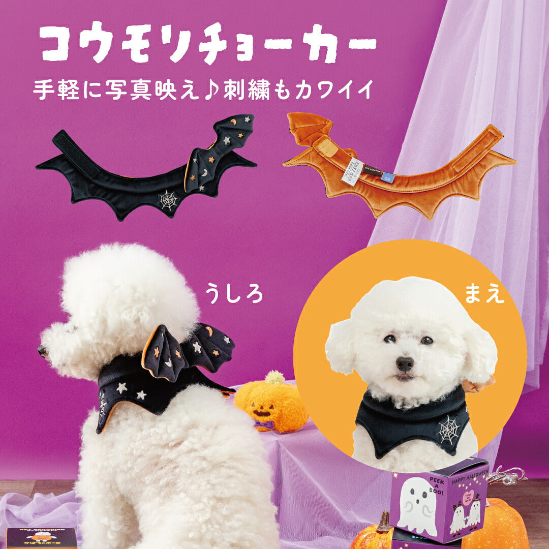 PET PARADISE | Halloween 3D Bat Cape