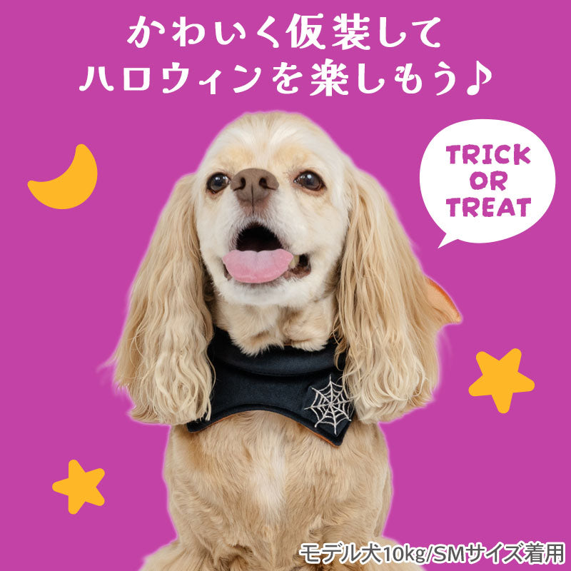 PET PARADISE | Halloween 3D Bat Cape