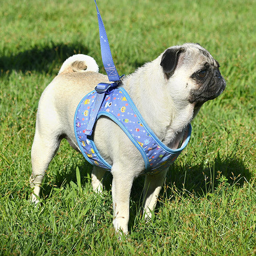 Pororo Harness 胸帶