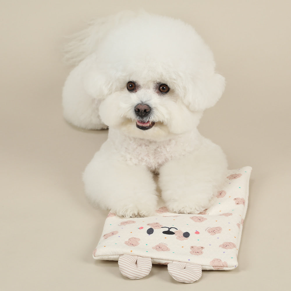 Organic Cotton Ice & Hot Pack Pouch (Rabbit-Chu)